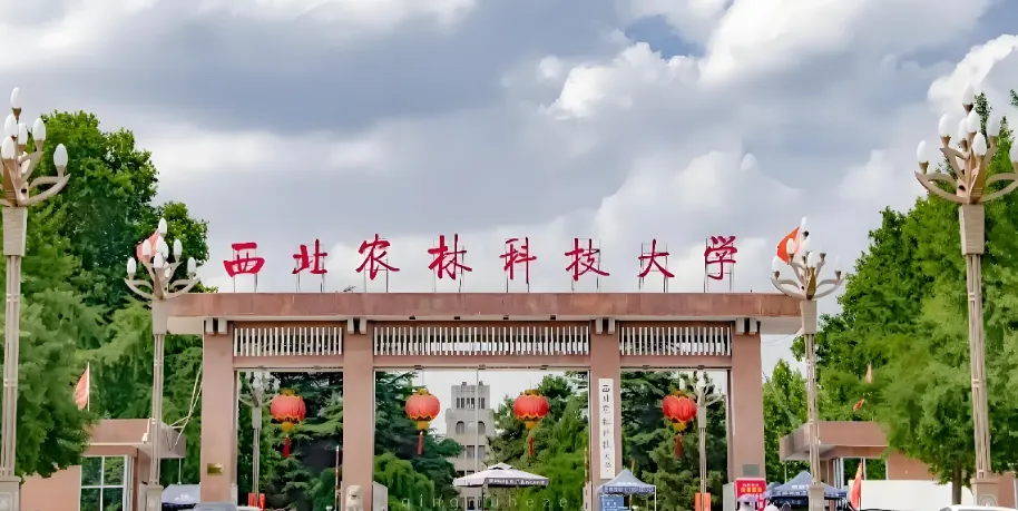 同等学力进西北农林科大：补修8门课+发论文