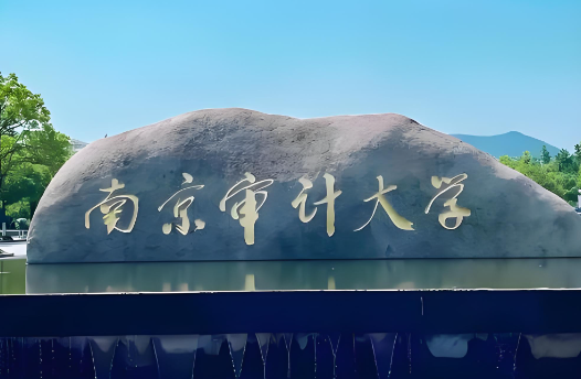 南京审计大学2026年公共管理专硕调剂公告