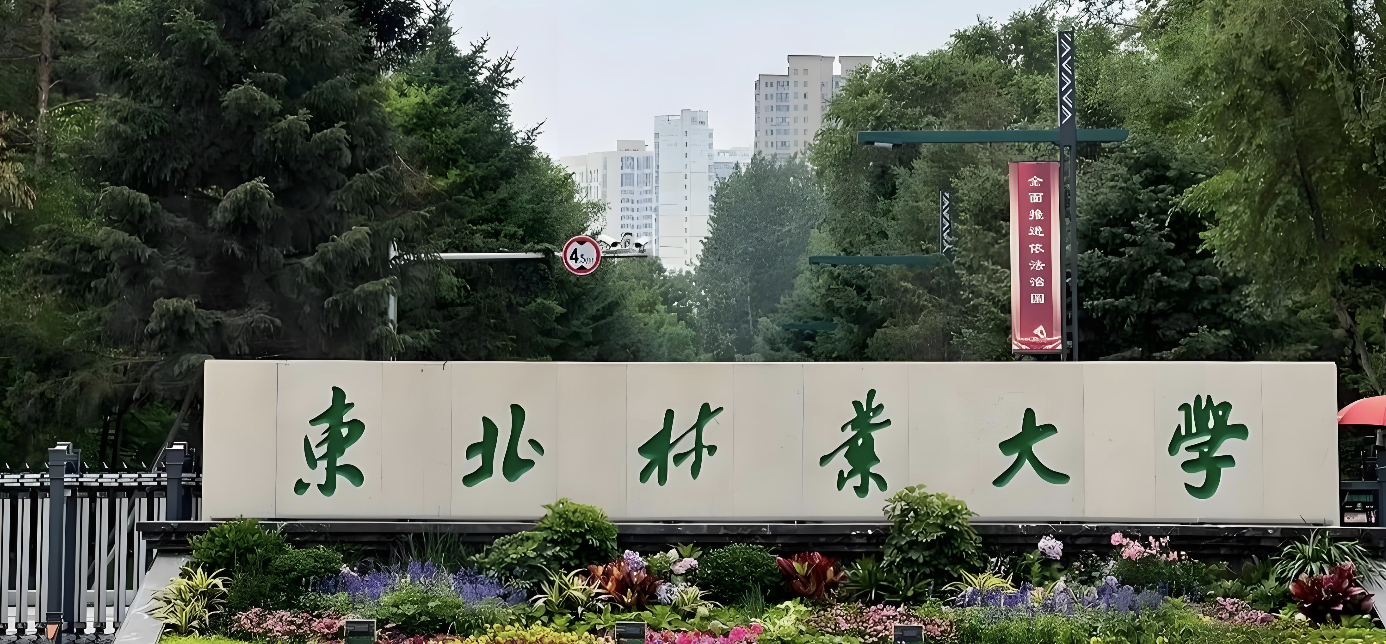 2025东北林业大学MBA项及拟录取公示
