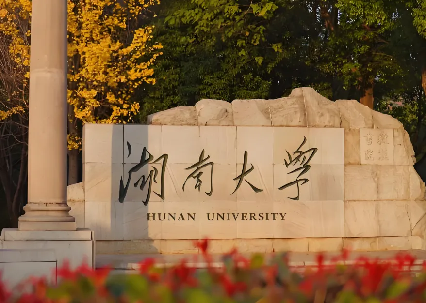 湖南大学公管院三条博士通道，哪条最不卷？