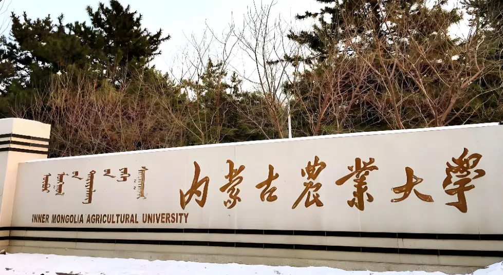 内蒙古农业大学2026年硕士研究生复试笔试安排（官方最新）