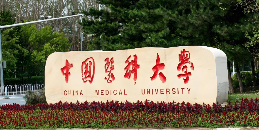 2027年报考中国医科大学图书情报须留意专业限制