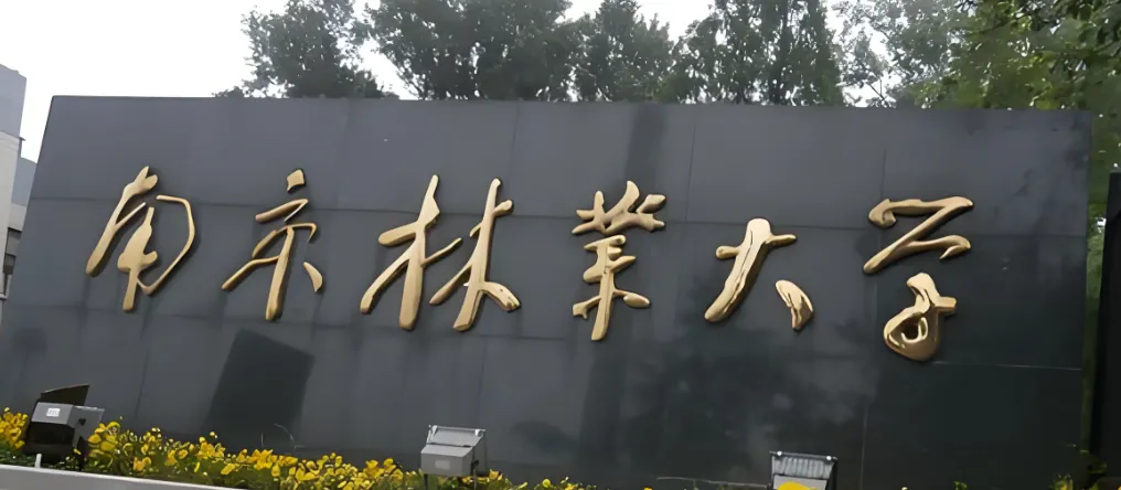 南京林业大学2026年MBA调剂公告正式发布，调剂指标40个