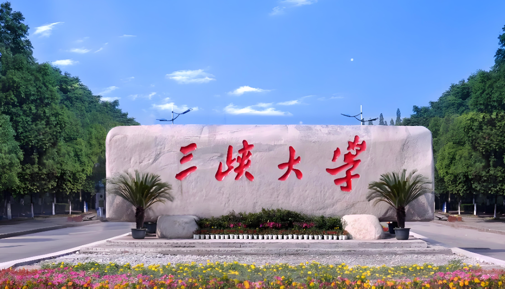 三峡大学2026年公共管理硕士（MPA）复试录取工作实施细则