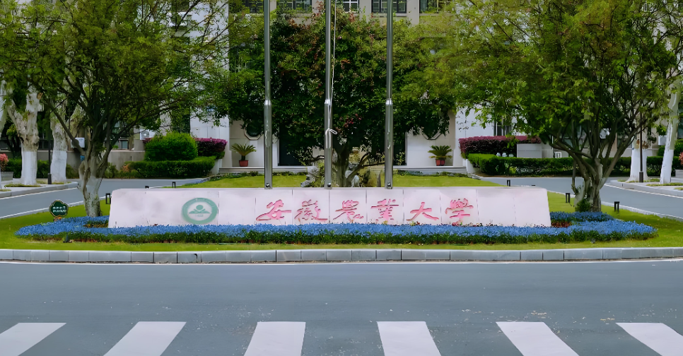 2026年安徽农业大学经管学院考研调剂全指南：调剂条件、调剂程序