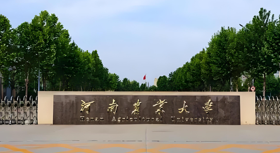 河南农业大学2026年计算机科学与技术专业第二次调剂须知