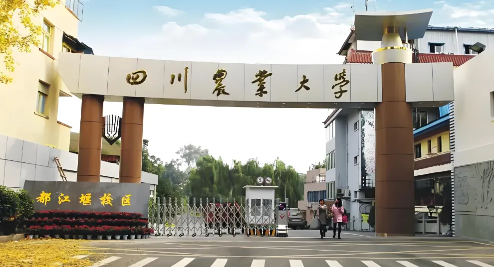 四川农业大学管理学院2026年博士复试通知发布
