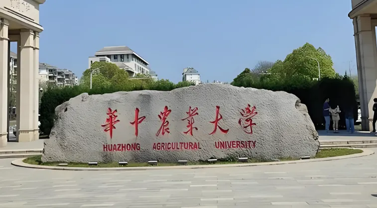 想考华中农大博士？参考这几点，提前一年准备不吃亏