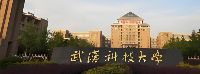 武科大MBA毕业写企业诊断报告，不用熬论文了