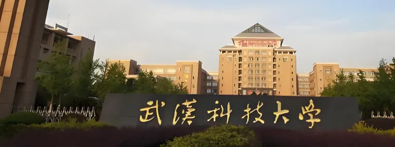 武科大MBA毕业写企业诊断报告，不用熬论文了