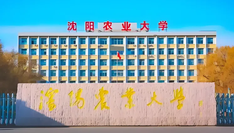 2026年沈阳农业大学考研调剂全指南：调剂流程