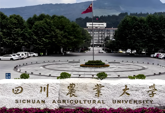四川农业大学26年硕博连读博士研究生招生的通知
