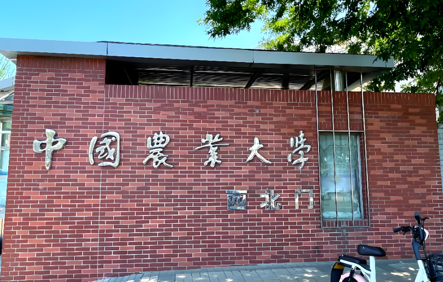 中国农大经管硕博连读：面试60%论文定胜负