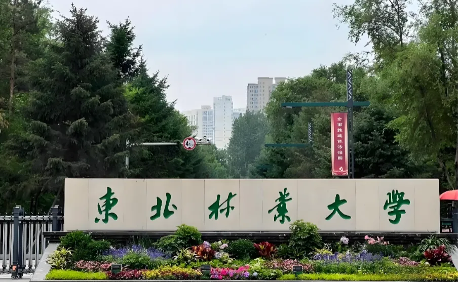 东北林业大学2027管综硕士报考条件来了