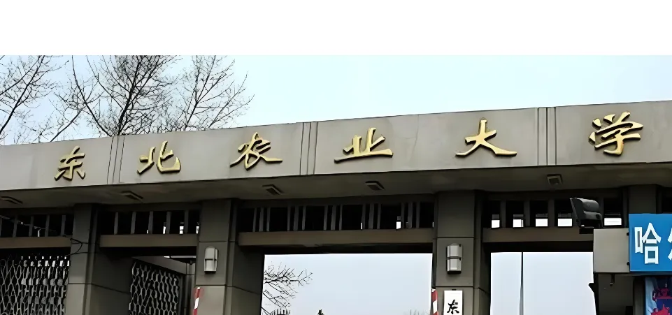 不发论文也能毕业？东北农业MPA8项条件灵活达标