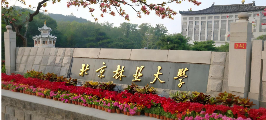 北京林业大学25年博士生推荐工作的通知