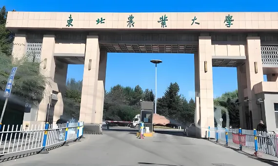 2026年东北农业大学经管学院博士招生：三类考生申请条件与材料清单