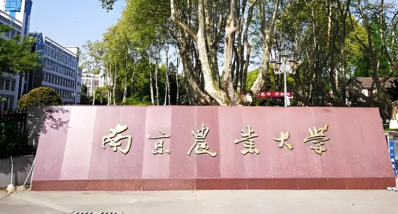 南京农业大学信息管理学院2026年硕士研究生调剂工作通知（考生必看）