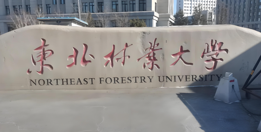 2026东北林大复试时间及材料清单