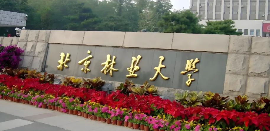 2026北京林业大学考研复试方案