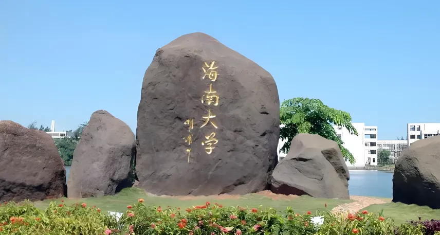 2026海南大学国际旅游学院与公管学院复试录取实施细则