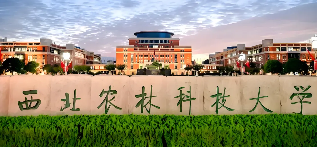 2026西北农林科技大学人文学院调剂复试怎么安排？复试通知全解答