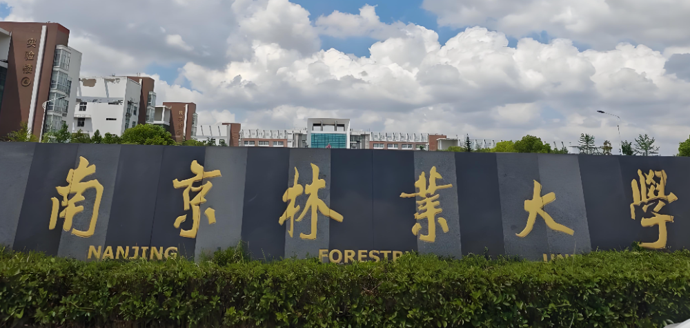 南林大2026年MBA复试4大关键节点：80元+6项材料+6项要求+200分复试
