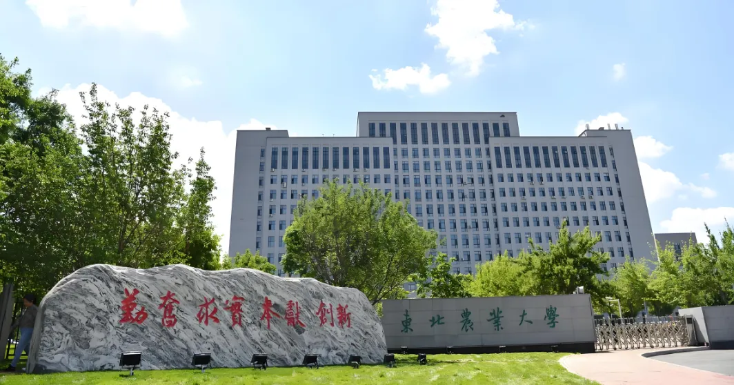 东北农业大学公共管理硕士攻读学位期间科研成果要求