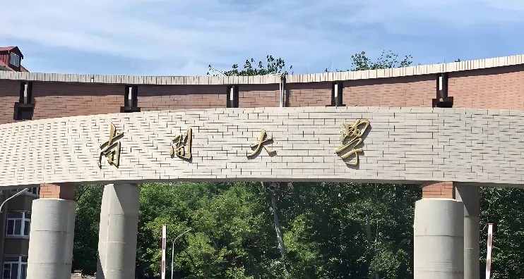 南开大学2026年MLIS招生项目简介