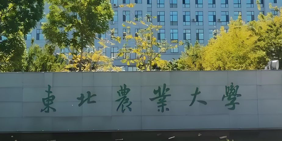 东北林业大学2026研招热点问答：复试调剂时间安排