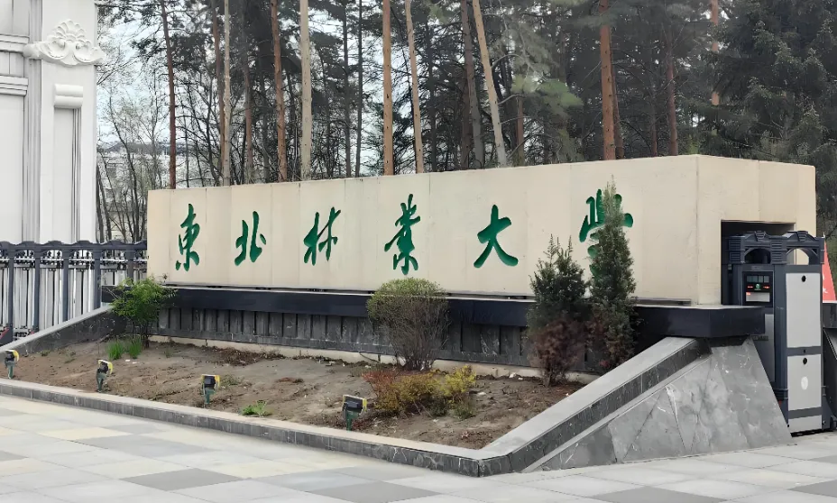 2026东北林大复试时间及材料清单