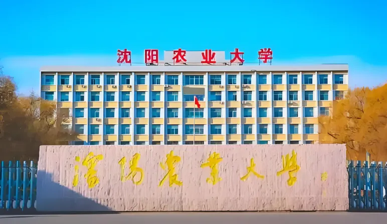 2026年沈阳农业大学硕博连读：申请条件与选拔通知