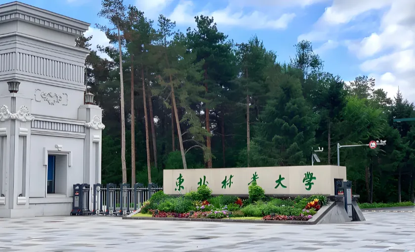 2027东北林业大学经管学院硕博连读，仅限本校硕士