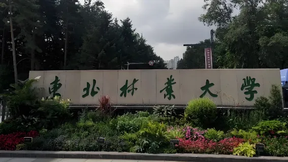 东北林业大学土木与交通学院第二批“硕博连读”博士研究生招生简章