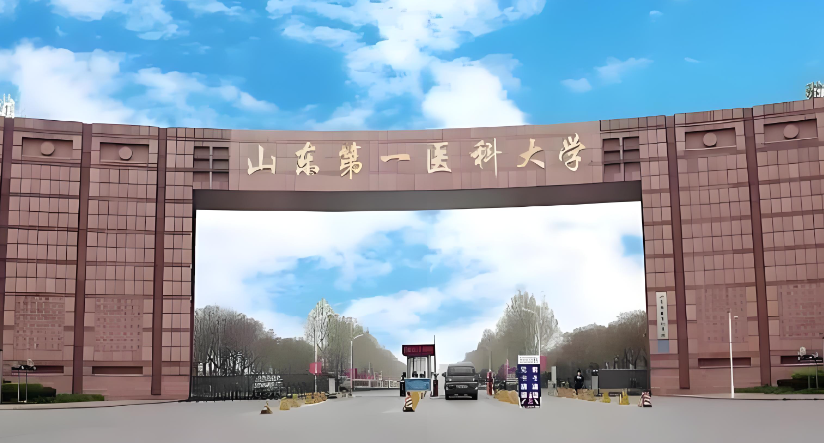 官方发布：山东第一医科大学公共卫生与健康管理学院2026年硕士复试录取细则