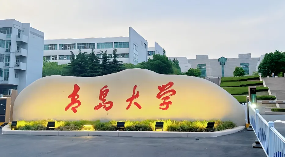 2027青岛大学非全硕士限在职定向，应届生不能报