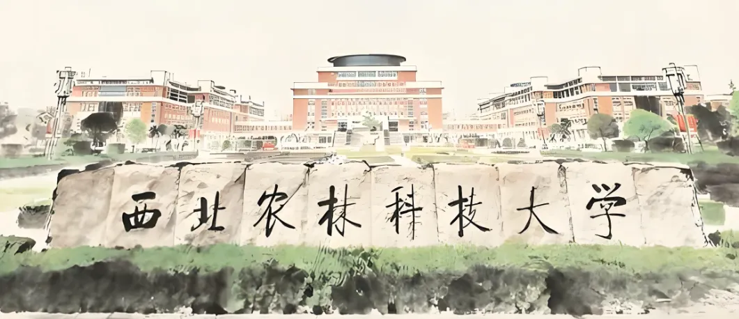 速览！西北农林科技大学2026年非全日制MBA调剂复试安排