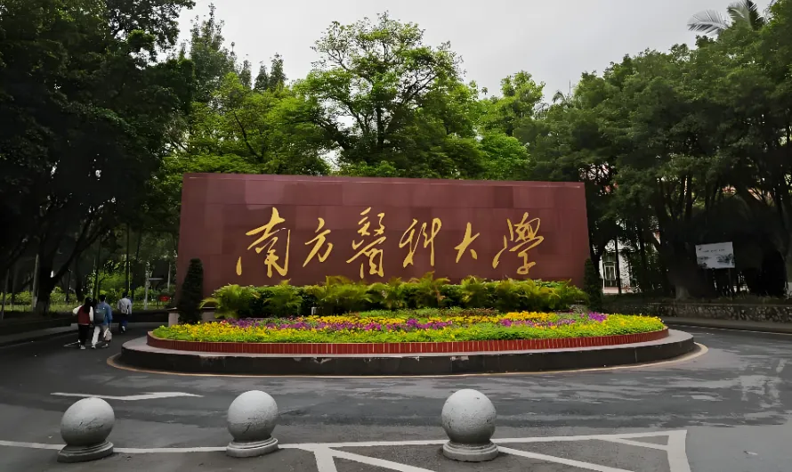 南方医科大学 封面