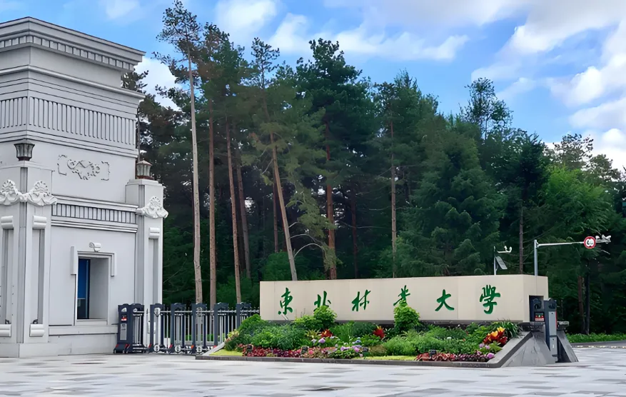 东北林业大学 封面