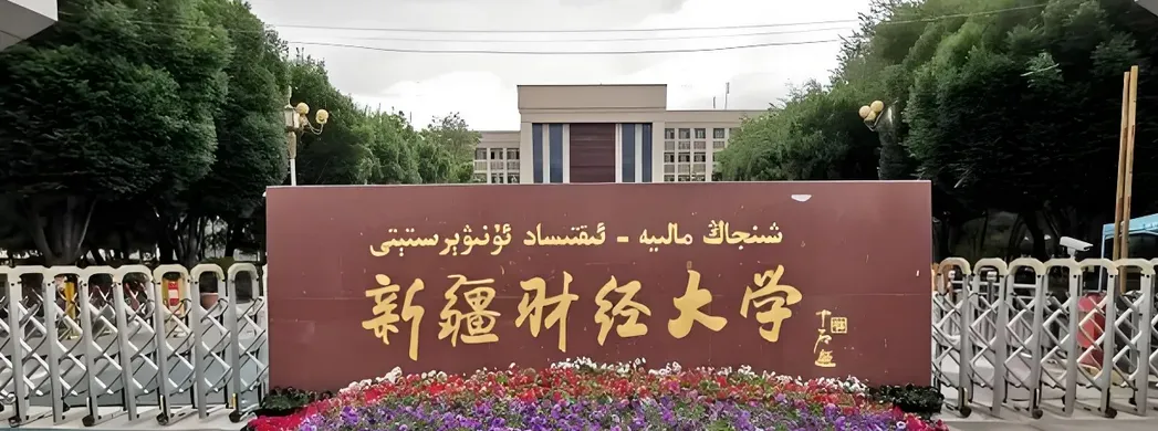 新疆财经大学 封面