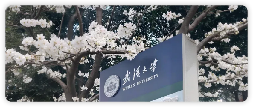 武汉大学 封面