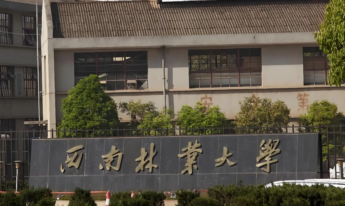 西南林业大学 封面