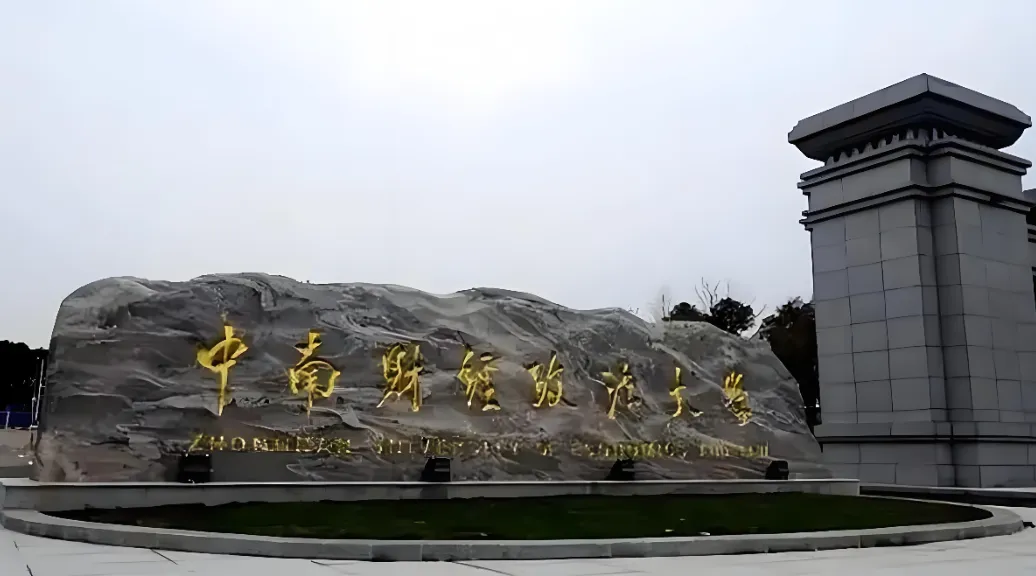 中南财经政法大学 封面