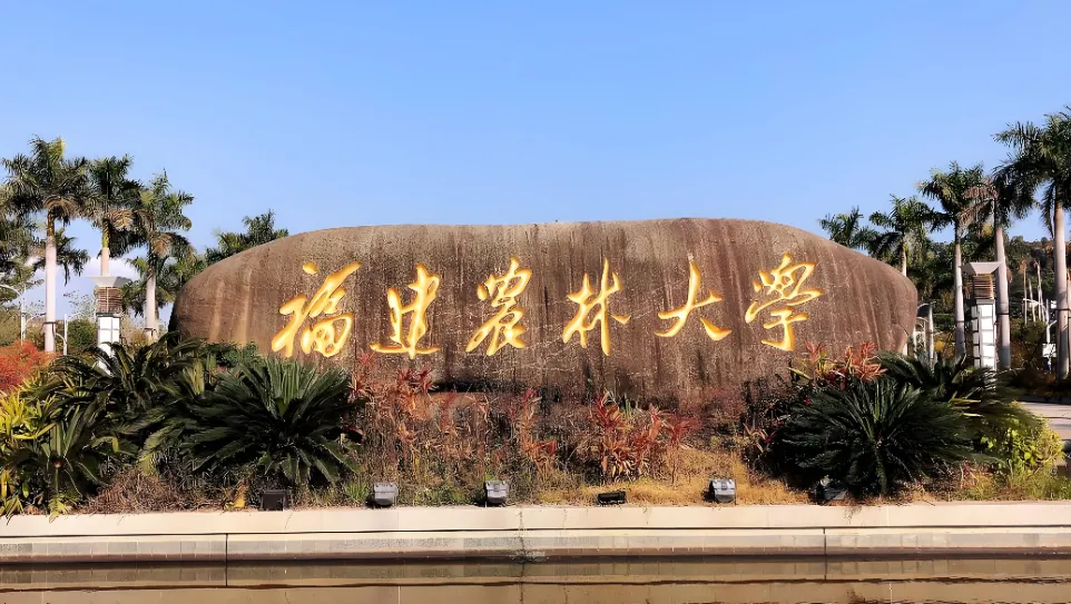 福建农林大学 封面
