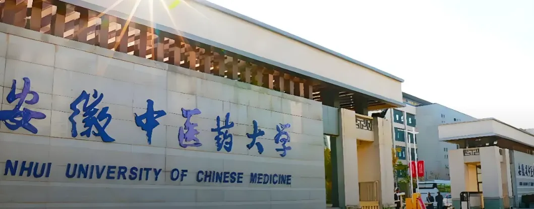 安徽中医药大学 封面