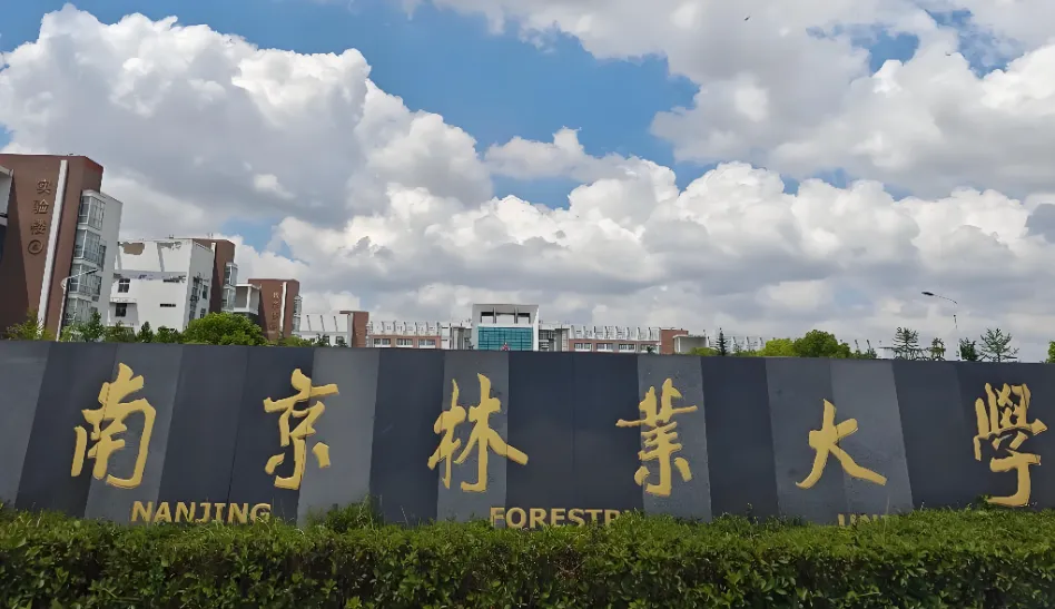 南京林业大学 封面