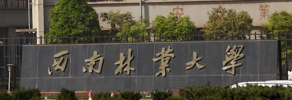西南林业大学 封面