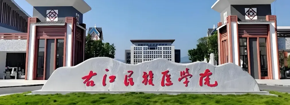 右江民族医学院 封面