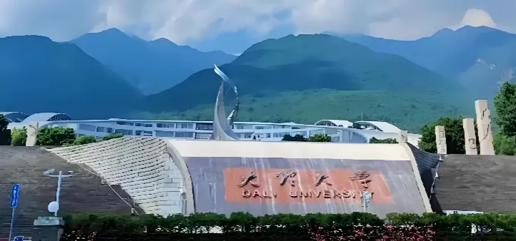 大理大学 封面
