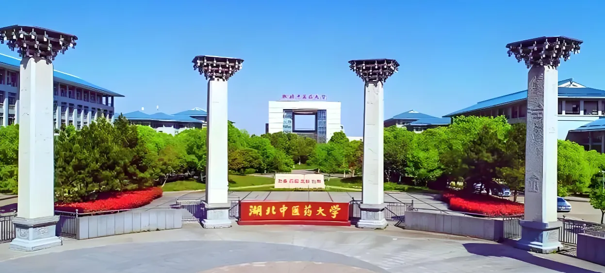 湖北中医药大学 封面